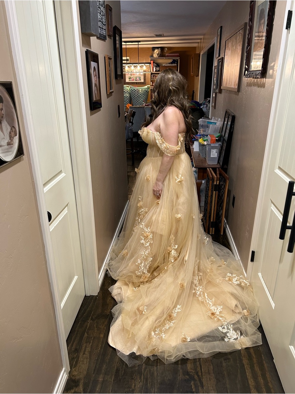 Champagne Tulle Ball Gown with Floral Appliqués - Picture 4 of 11